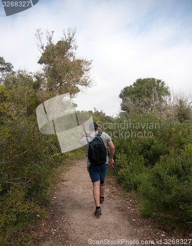 Image of Hiking in nature trail