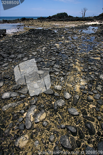 Image of rock and stone in the beach