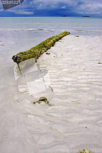 Image of rock and wood in the sand