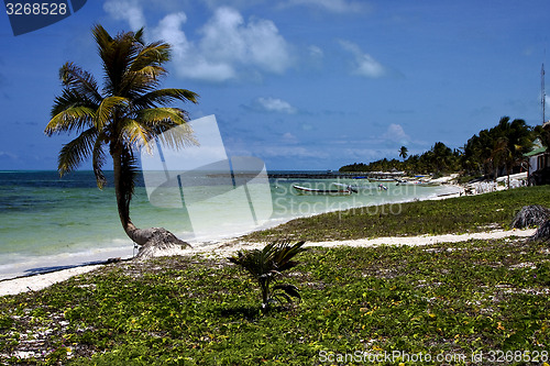 Image of cabin boats and palm in the sian kaan blue lagoon