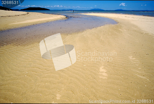 Image of nosy mamoko land