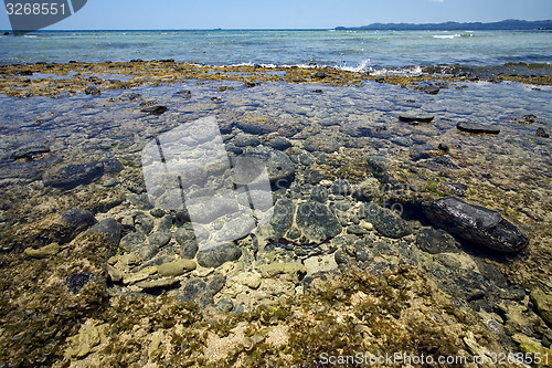 Image of low in madagascar
