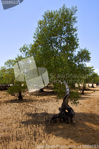 Image of reserve of lokobe