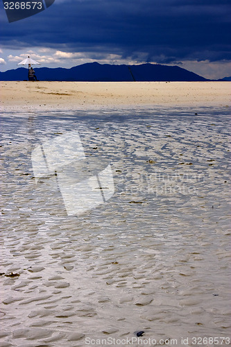 Image of parasol in the beach