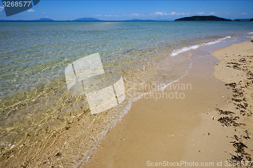 Image of madagascar nosy mamoko