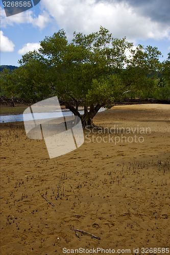 Image of reserve in madagascar