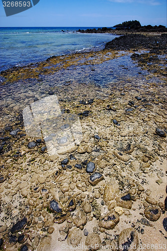 Image of beach of stone