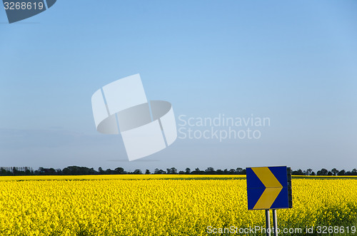 Image of Arrow at yellow field