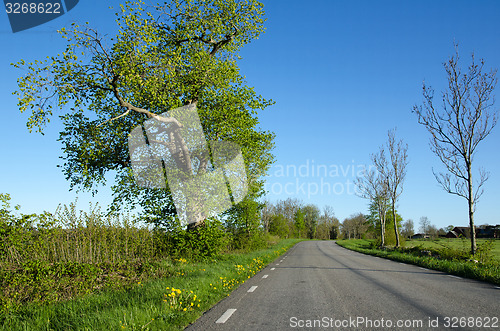 Image of Beautiful country road