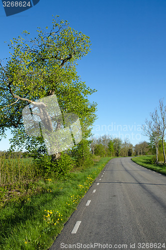 Image of Vibrant country road