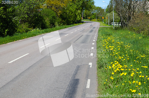 Image of Blossom roadside