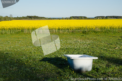 Image of Bathtub as a water tank