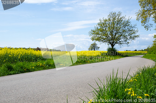 Image of Green and yellow road