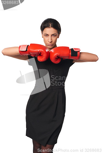 Image of Serious business woman wearing boxing gloves