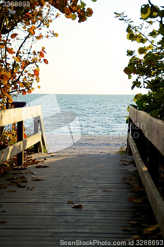 Image of shaded boardwalk leading to beach