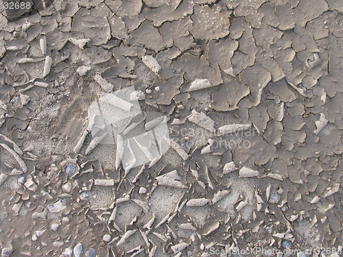 Image of Peeling mud