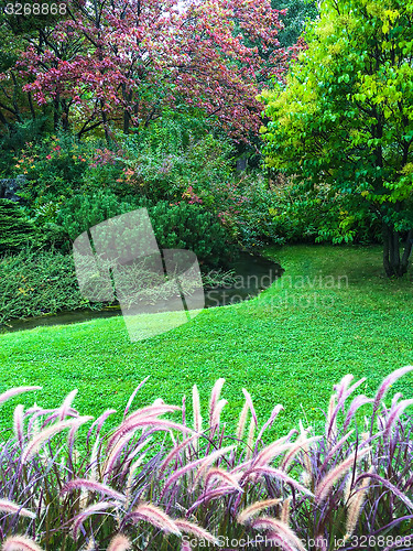 Image of Beautiful colorful garden with green lawn