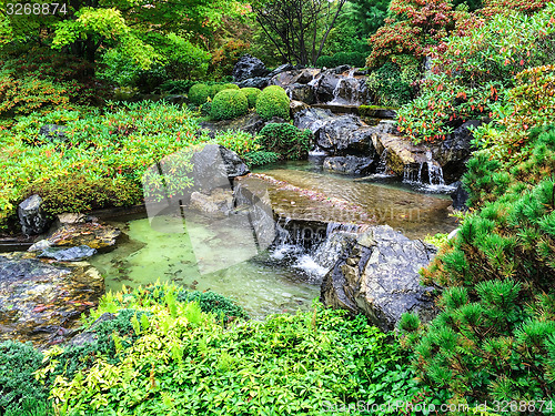 Image of Japanese garden in early autumn