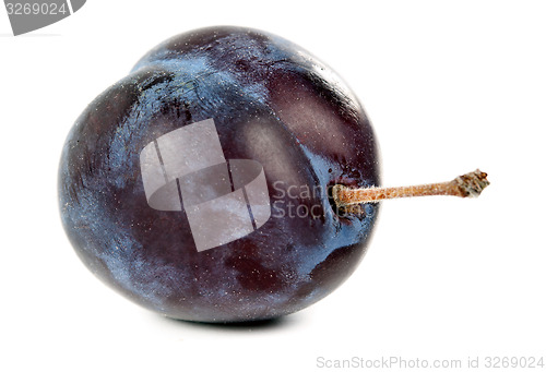 Image of a ripe plum closeup