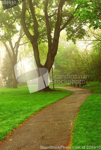 Image of Foggy park