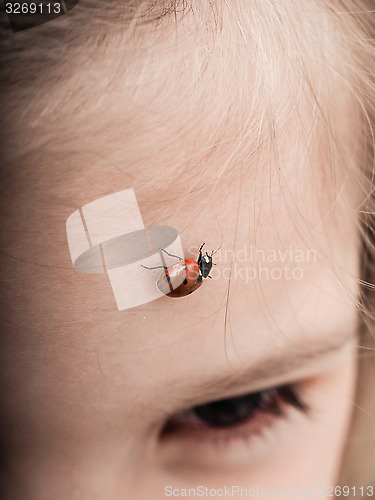 Image of Ladybird bug walking across forehead of a girl with downwards an