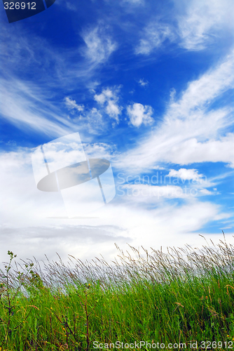 Image of Grass and sky