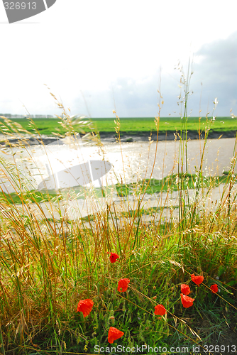 Image of Landscape in Brittany