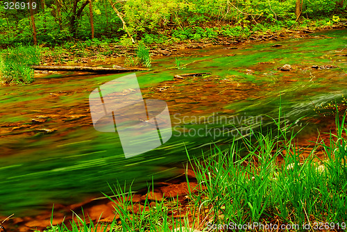 Image of Forest river