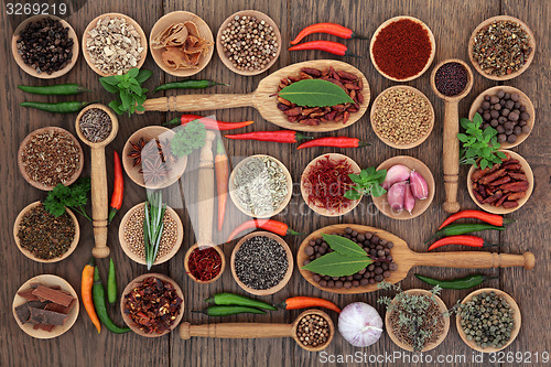 Image of Herb and Spice Food Sampler