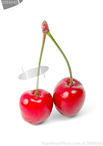 Image of Cherry isolated