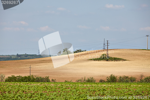 Image of Agircutural field