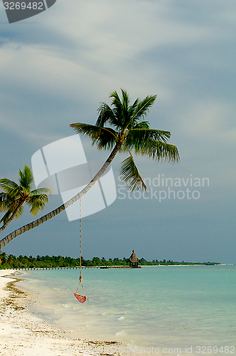 Image of Ocean Beach
