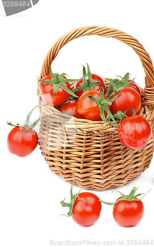 Image of Cherry Tomatoes