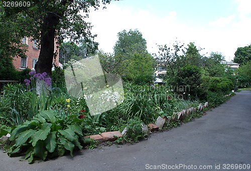 Image of trees and flowers