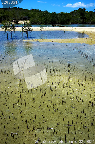 Image of lagoon  and coastline 