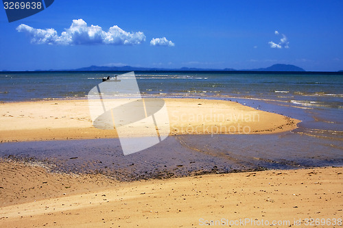 Image of in the water