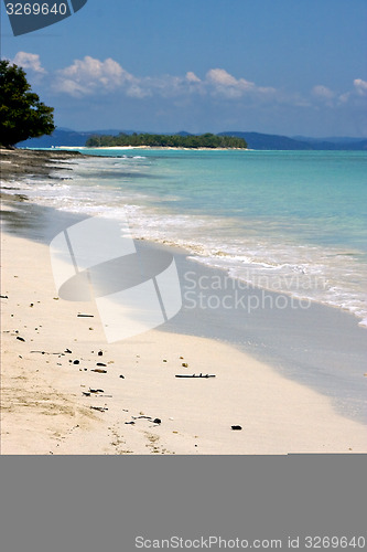 Image of light blue in nosy mamoko