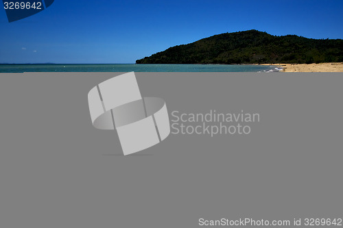 Image of lowtide and a tree