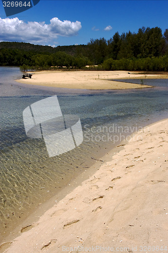 Image of footstep in nosy mamoko madagascar