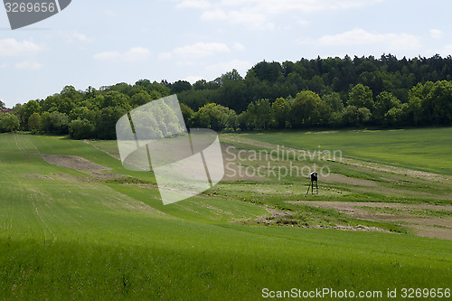 Image of Landscape in the south of Czech Republic