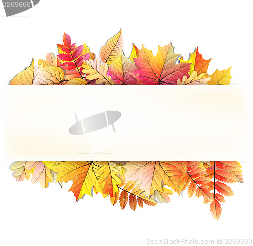 Image of Autumn frame with fall leaf. EPS 10