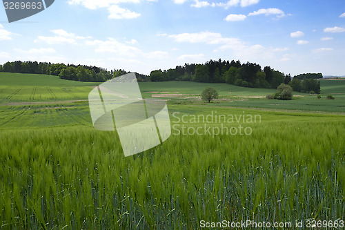 Image of Landscape in the south of Czech Republic