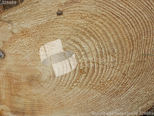 Image of Wood