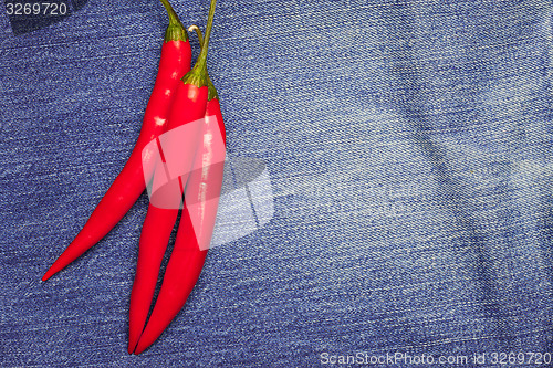 Image of hot chili pepper on jeans background
