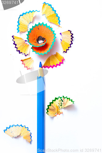 Image of pencil flower with pollen