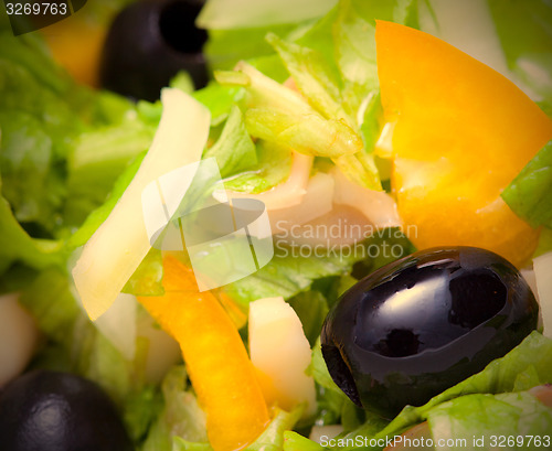 Image of Assorted salad of green leaf lettuce with squid and black olives