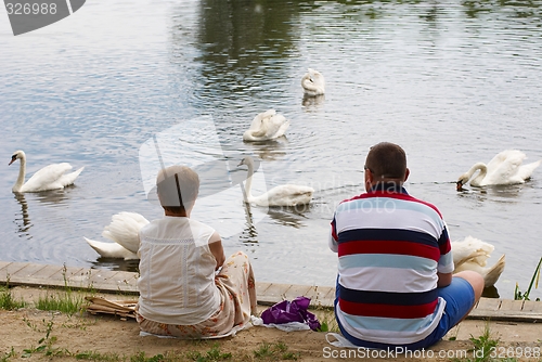 Image of Woman, man and swans on river