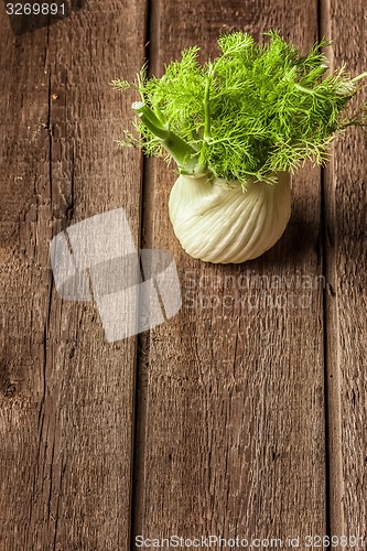 Image of fresh fennel full of vitamins and fibers