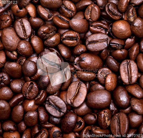 Image of Roasted coffee beans