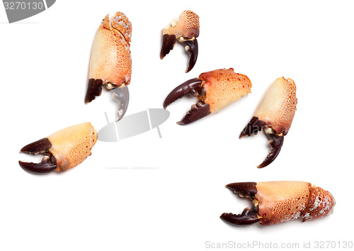 Image of Cooked pincers from crab